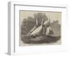 Royal Thames Yacht Club Schooner Match, the Wildfire and Vestal in the Lower Hope-Edwin Weedon-Framed Giclee Print
