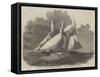 Royal Thames Yacht Club Schooner Match, the Wildfire and Vestal in the Lower Hope-Edwin Weedon-Framed Stretched Canvas