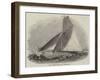 Royal Thames Yacht Club, The Secret-null-Framed Giclee Print