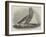 Royal Thames Yacht Club, The Secret-null-Framed Giclee Print