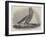 Royal Thames Yacht Club, The Secret-null-Framed Giclee Print