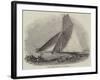 Royal Thames Yacht Club, The Secret-null-Framed Giclee Print