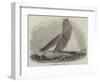 Royal Thames Yacht Club, The Secret-null-Framed Giclee Print