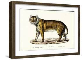 Royal Tiger, 1824-Karl Joseph Brodtmann-Framed Giclee Print