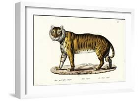 Royal Tiger, 1824-Karl Joseph Brodtmann-Framed Giclee Print