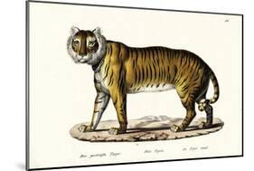 Royal Tiger, 1824-Karl Joseph Brodtmann-Mounted Giclee Print