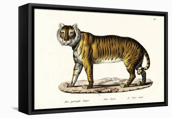 Royal Tiger, 1824-Karl Joseph Brodtmann-Framed Stretched Canvas