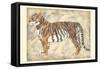 Royal Tiger-Chariklia Zarris-Framed Stretched Canvas