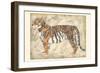 Royal Tiger-Chariklia Zarris-Framed Art Print