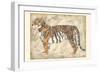 Royal Tiger-Chariklia Zarris-Framed Art Print