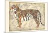 Royal Tiger-Chariklia Zarris-Mounted Premium Giclee Print