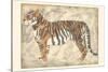 Royal Tiger-Chariklia Zarris-Stretched Canvas