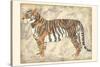 Royal Tiger-Chariklia Zarris-Stretched Canvas