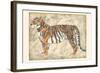 Royal Tiger-Chariklia Zarris-Framed Art Print