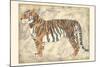 Royal Tiger-Chariklia Zarris-Mounted Art Print