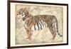 Royal Tiger-Chariklia Zarris-Framed Art Print