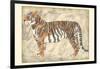 Royal Tiger-Chariklia Zarris-Framed Art Print