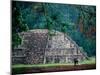 Royal Tomb, Maya, Copan, Honduras-Kenneth Garrett-Mounted Premium Photographic Print