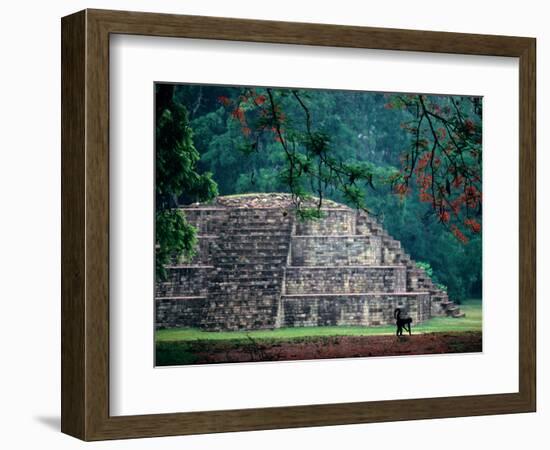 Royal Tomb, Maya, Copan, Honduras-Kenneth Garrett-Framed Photographic Print