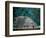 Royal Tomb, Maya, Copan, Honduras-Kenneth Garrett-Framed Photographic Print