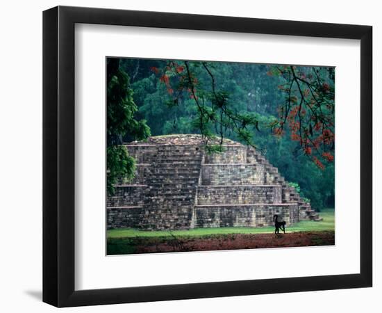 Royal Tomb, Maya, Copan, Honduras-Kenneth Garrett-Framed Photographic Print