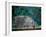 Royal Tomb, Maya, Copan, Honduras-Kenneth Garrett-Framed Photographic Print