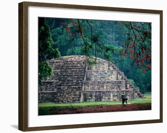 Royal Tomb, Maya, Copan, Honduras-Kenneth Garrett-Framed Photographic Print