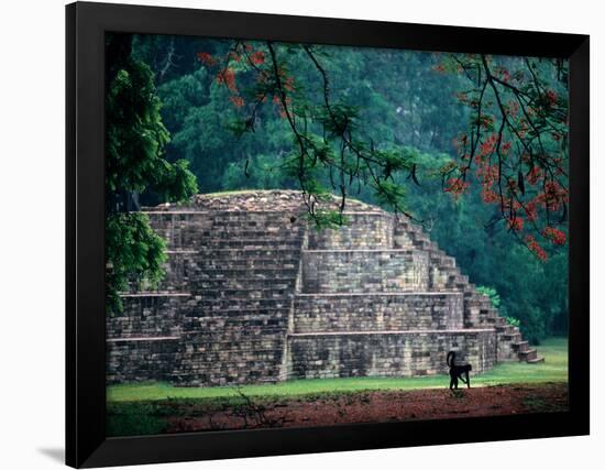 Royal Tomb, Maya, Copan, Honduras-Kenneth Garrett-Framed Photographic Print