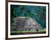 Royal Tomb, Maya, Copan, Honduras-Kenneth Garrett-Framed Photographic Print