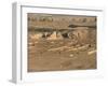 Royal Tombs, Ur, Iraq, Middle East-Nico Tondini-Framed Photographic Print