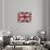 Royal Union Jack-Sam Appleman-Stretched Canvas displayed on a wall