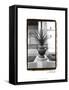 Royal Urn I-Laura Denardo-Framed Stretched Canvas