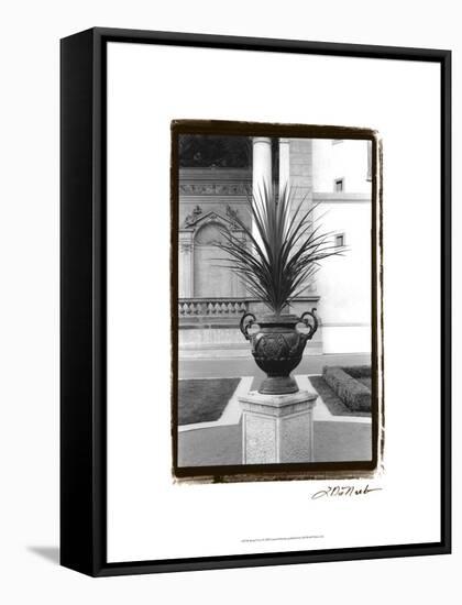 Royal Urn I-Laura Denardo-Framed Stretched Canvas