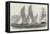 Royal Victoria Yacht Club Regatta, the Match for Her Majesty's Cup-Edwin Weedon-Framed Stretched Canvas