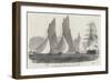 Royal Victoria Yacht Club Regatta, the Match for Her Majesty's Cup-Edwin Weedon-Framed Giclee Print