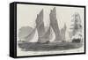 Royal Victoria Yacht Club Regatta, the Match for Her Majesty's Cup-Edwin Weedon-Framed Stretched Canvas