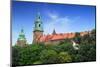 Royal Wawel Castle in Cracow, Poland-Patryk Kosmider-Mounted Photographic Print