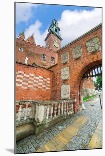 Royal Wawel Castle in Cracow, Poland-Patryk Kosmider-Mounted Photographic Print