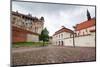 Royal Wawel Castle in Cracow, Poland-Patryk Kosmider-Mounted Photographic Print