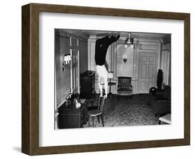 Royal Wedding, 1951-null-Framed Photographic Print