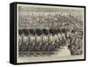 Royal Wedding Festivities in the North, the Military Tournament at Glasgow-William Ralston-Framed Stretched Canvas