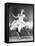 Royal Wedding, Jane Powell, 1951-null-Framed Stretched Canvas
