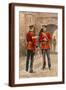 Brown Frame