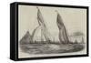 Royal Western Yacht Club Regatta, in Mount's Bay, The Grand Turk, and The Lily of Devon-Nicholas Matthews Condy-Framed Stretched Canvas