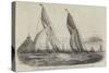 Royal Western Yacht Club Regatta, in Mount's Bay, The Grand Turk, and The Lily of Devon-Nicholas Matthews Condy-Stretched Canvas