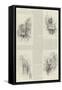 Royal Windsor-Herbert Railton-Framed Stretched Canvas