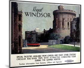 Royal Winsor-null-Mounted Art Print