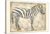 Royal Zebra-Chariklia Zarris-Stretched Canvas