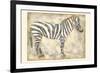 Royal Zebra-Chariklia Zarris-Framed Art Print