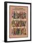 Royalty and Commoners the Germanic Peoples-Friedrich Hottenroth-Framed Art Print